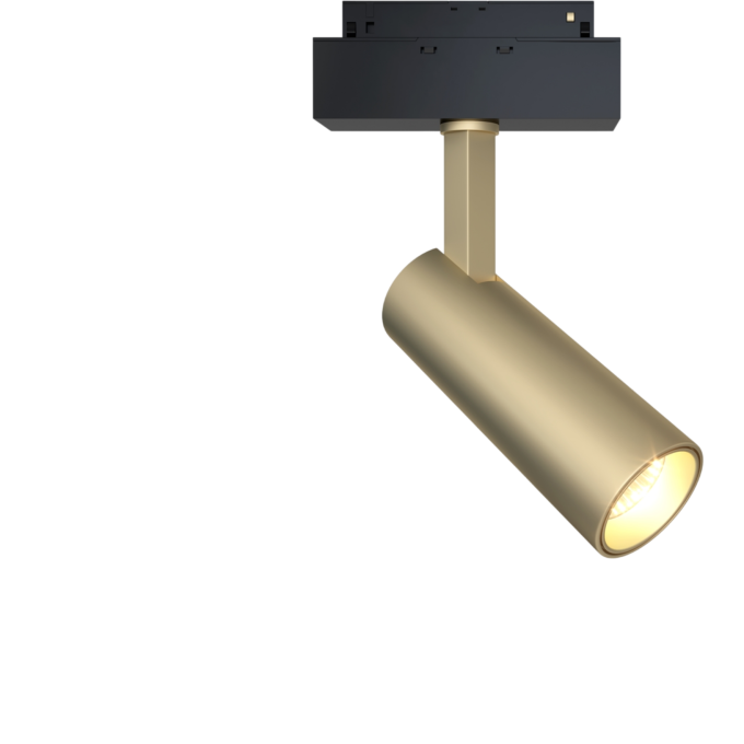 Трековый светильник MAYTONI FOCUS LED TR019-2-10W3K-MG